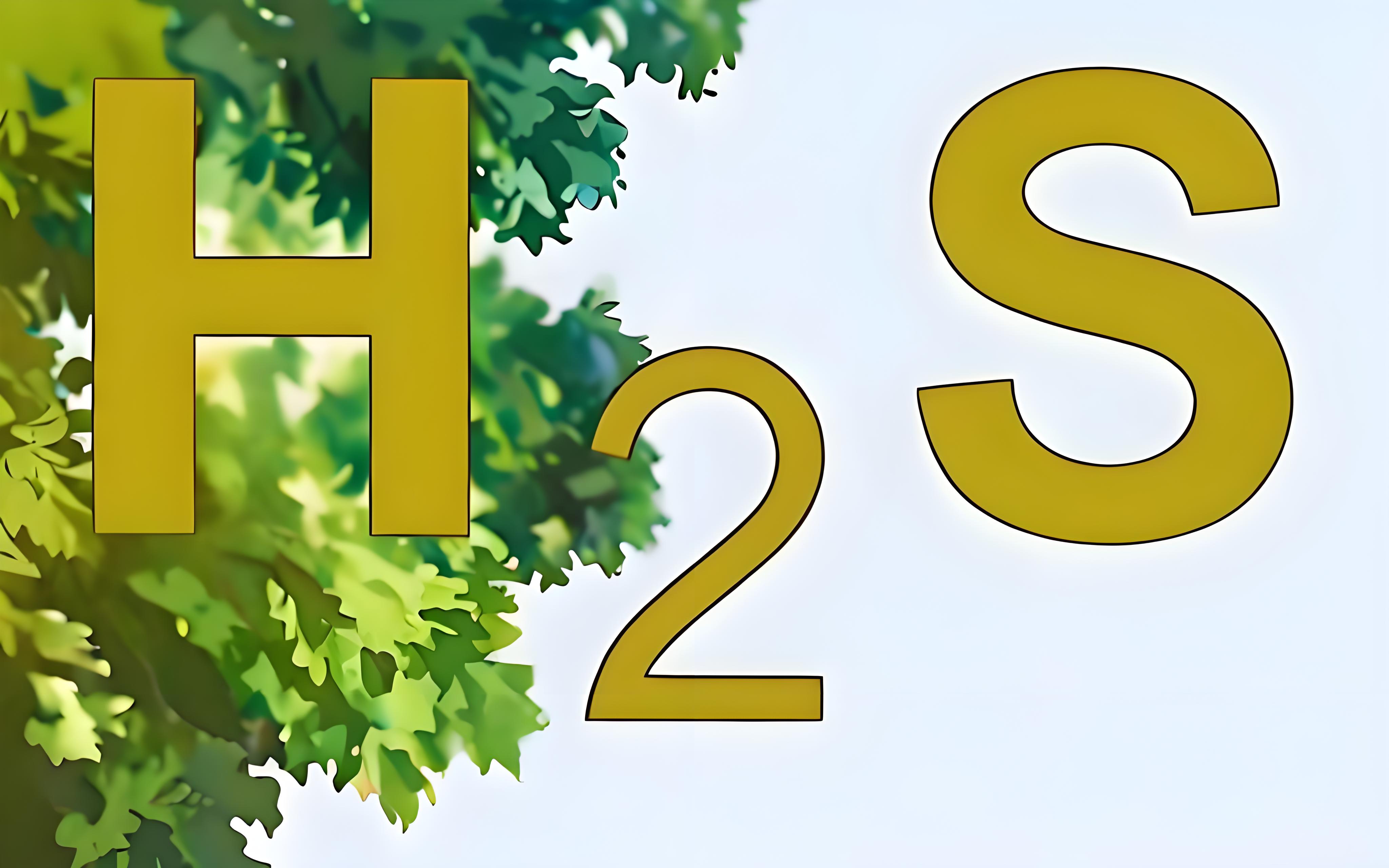 氣體檢測(cè)儀氫氣報(bào)警閾值和硫化氫的有什么區(qū)別？